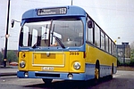 SL200-VV Ausflug gelb/blau